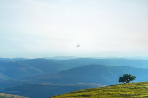 Salalah