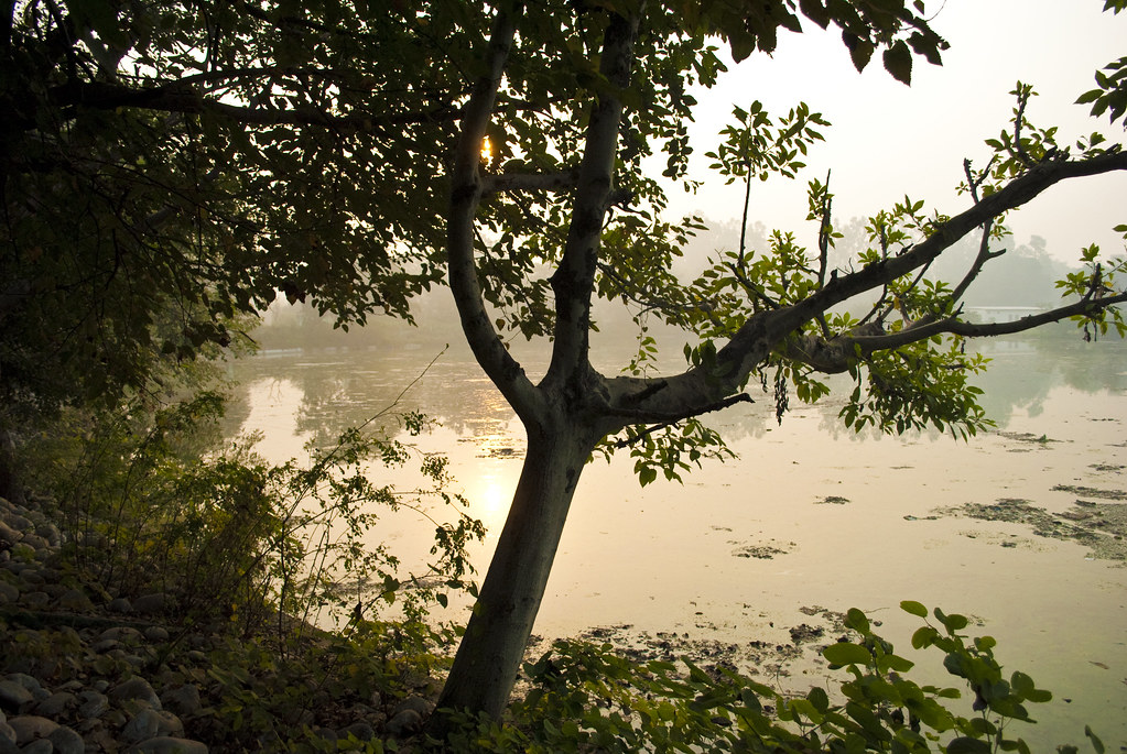 Bareilly