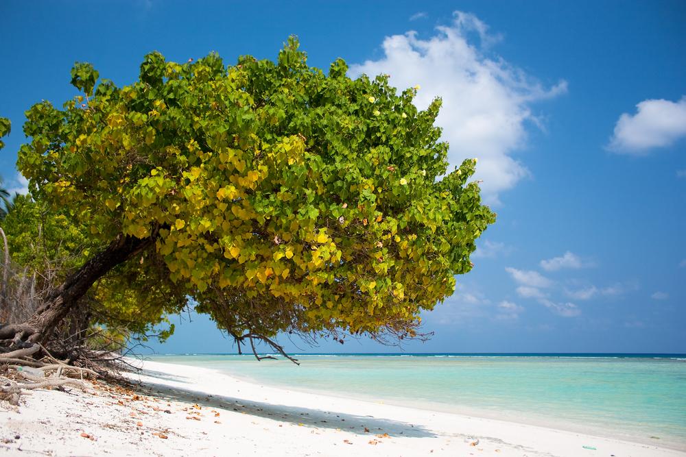 Agatti Island